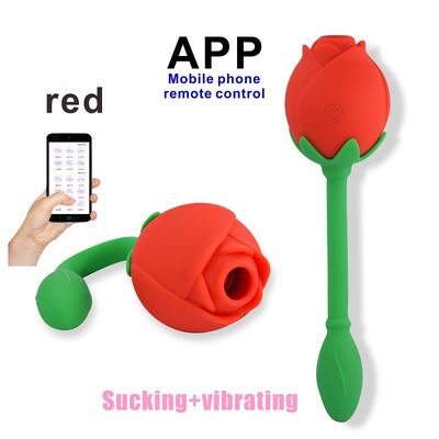 IPX6 Rose Clitoral Sucker Vibrator Sex Toy Vagina G Spot Stimulation Clitoral دستگاه مکیدن
