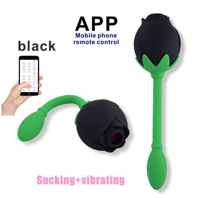 IPX6 Rose Clitoral Sucker Vibrator Sex Toy Vagina G Spot Stimulation Clitoral دستگاه مکیدن